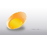 uovo: lavoro eseguito in Photoshop partendo da un foglio bianco
